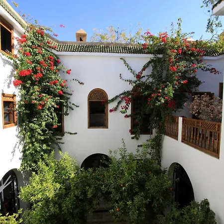 Riad Alma-3